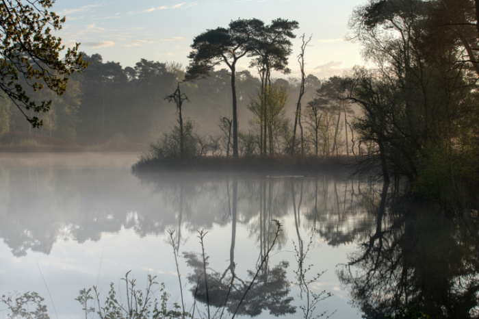 Goorven Oisterwijk